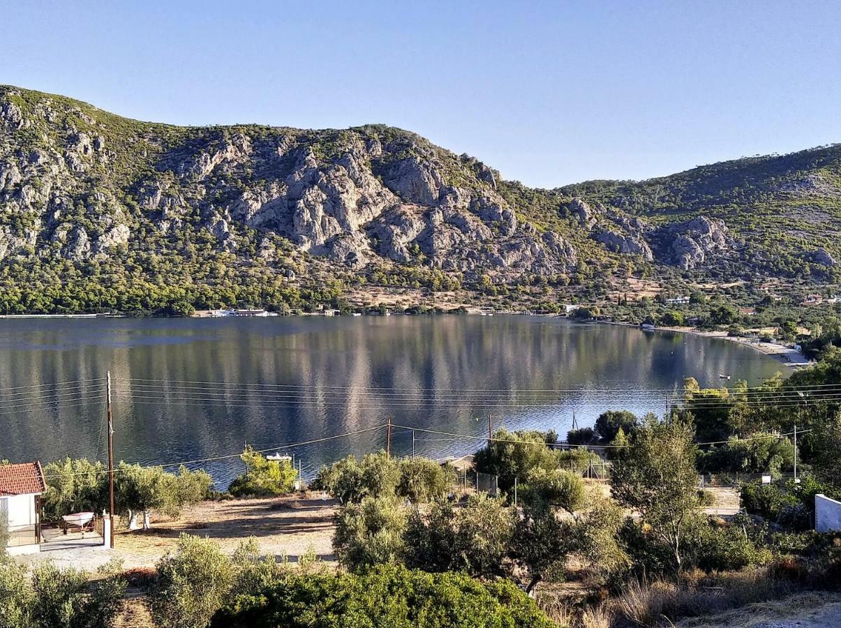 Lagoon Dreamhouse Vouliagmeni Sø Eksteriør billede